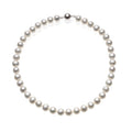 Freshwater Cultured Pearl Necklace